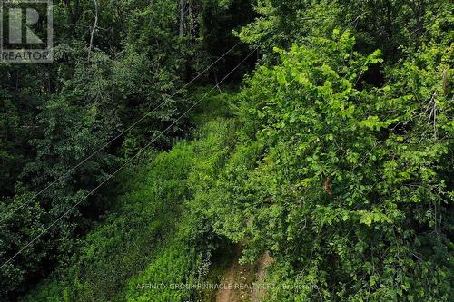 00 4Th Line, Otonabee-South Monaghan, ON 