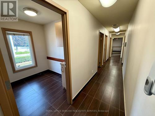 906 Brant Street, Burlington, ON 