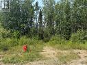 920 Mowery Place, La Ronge, SK 