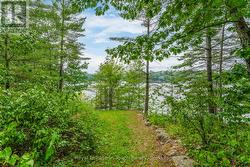 Path up from the lake - 