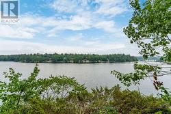 View from the deck - 