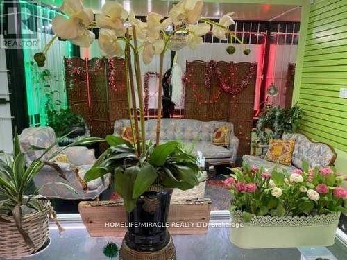 871 Dundas Street, Toronto, ON 