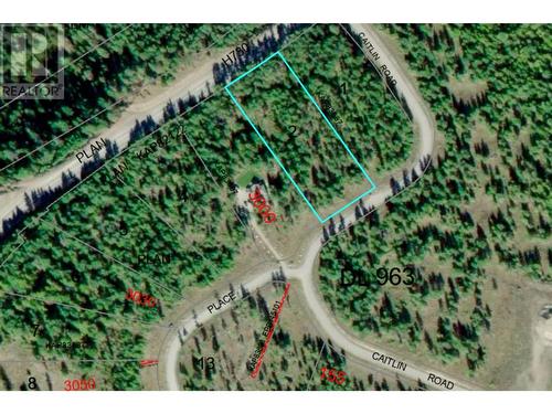 Lot 2 Caitlin Road Parcel Map - Caitlin Road Lot# 2, Christina Lake, BC 