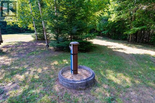 12916 Highway 28, North Kawartha, ON - Outdoor