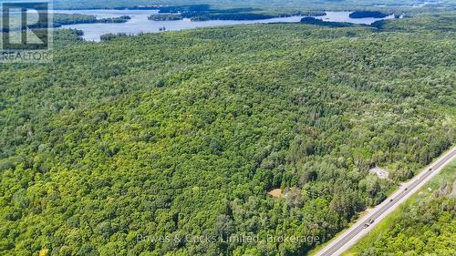 12916 Highway 28, North Kawartha, ON - Outdoor With Body Of Water With View