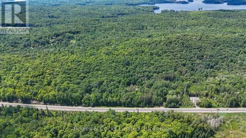 12916 Highway 28, North Kawartha, ON - Outdoor With View