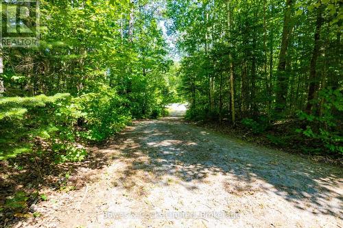 12916 Highway 28, North Kawartha, ON - Outdoor