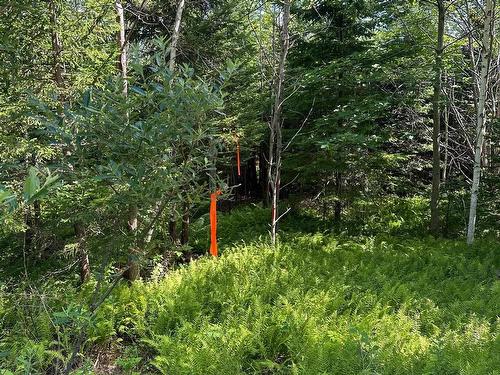 Lot 104 Crouses Settlement Road, Crouses Settlement, NS 