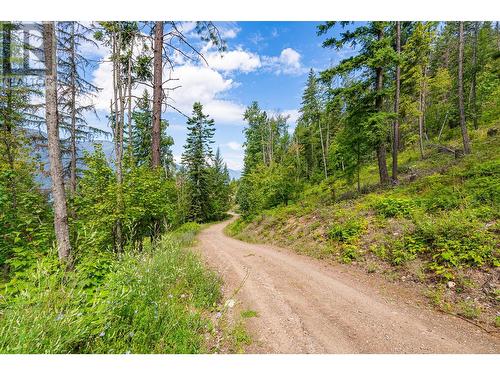 Sublot 9 Mountain Shores Road, Boswell, BC 