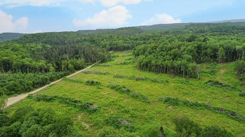 Terre à bois - Ch. Du 8E Rang E., Paspébiac, QC 