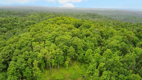 Terre à bois - Ch. Du 8E Rang E., Paspébiac, QC 