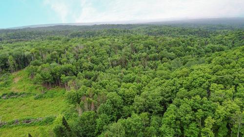 Terre à bois - Ch. Du 8E Rang E., Paspébiac, QC 
