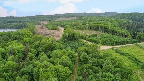 Terre à bois - Ch. Du 8E Rang E., Paspébiac, QC 