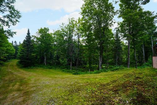 Terre à bois - Ch. Du 8E Rang E., Paspébiac, QC 