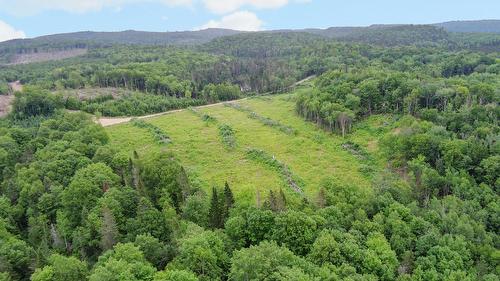 Terre à bois - Ch. Du 8E Rang E., Paspébiac, QC 