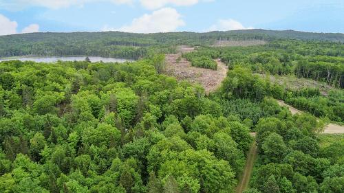 Terre à bois - Ch. Du 8E Rang E., Paspébiac, QC 
