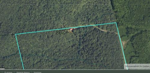 Terre à bois - Ch. Du 8E Rang E., Paspébiac, QC 