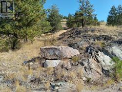 1024 BULLMOOSE Trail Lot# 8  Osoyoos, BC V0H 1V6