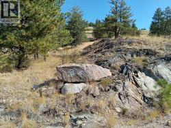 1024 BULLMOOSE Trail Lot# 8 Osoyoos, BC V0H 1V6