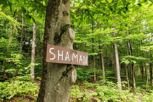 Extérieur - 5Z Ch. Ledoux, Saint-Étienne-De-Bolton, QC - Outdoor