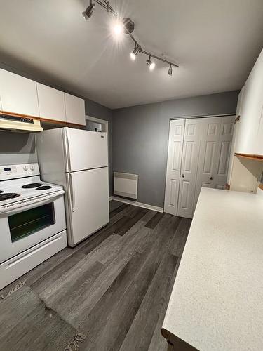 Kitchen - 2642 Rue Hogan, Montréal (Ville-Marie), QC 