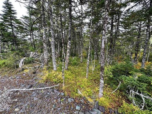 65 Connors Cove Road, Brigus Junction, NL 