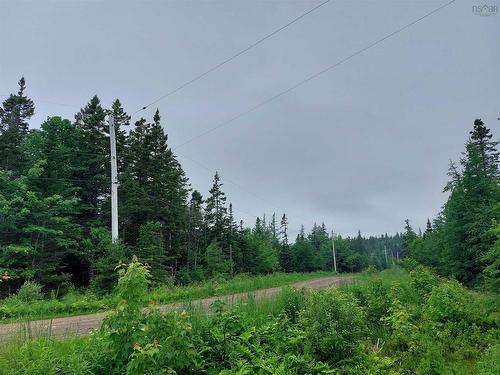 Lot 15 Walkerville Rd.,, Walkerville, NS 