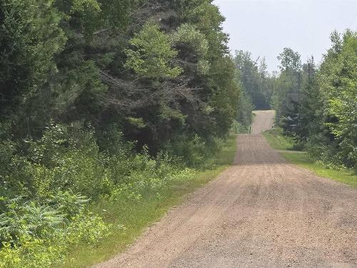 52 Ross Road, Sturgeon, PE 