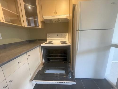 201-550 Bradley St, Nanaimo, BC - Indoor Photo Showing Kitchen