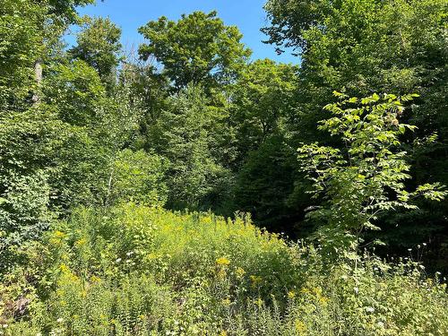 Terre/Terrain - Ch. Janitens, Brownsburg-Chatham, QC 