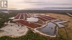 0 Carters Road  Barachois Brook, NL A0N 1B0