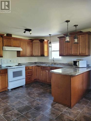 C68 Crooked Lake Road, Badger, NL - Indoor Photo Showing Kitchen With Double Sink