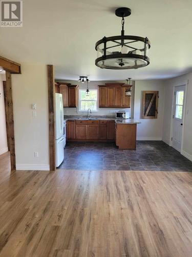 C68 Crooked Lake Road, Badger, NL - Indoor Photo Showing Kitchen