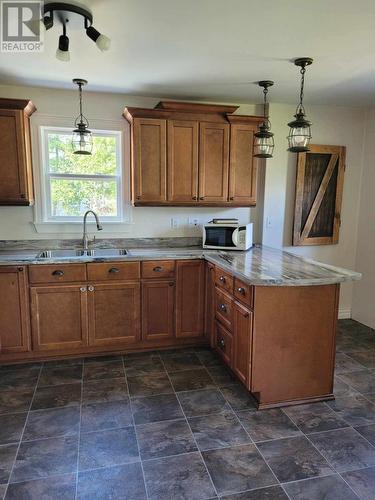 C68 Crooked Lake Road, Badger, NL - Indoor Photo Showing Kitchen With Double Sink