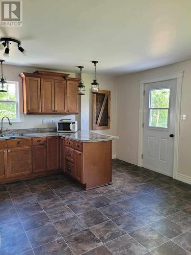 C68 Crooked Lake Road, Badger, NL - Indoor Photo Showing Kitchen With Double Sink