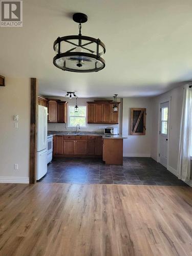 C68 Crooked Lake Road, Badger, NL - Indoor Photo Showing Kitchen With Double Sink