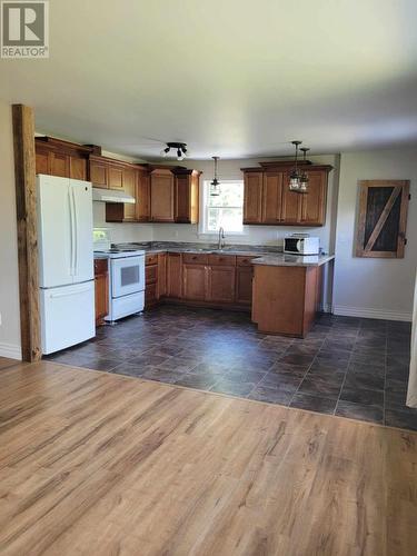 C68 Crooked Lake Road, Badger, NL - Indoor Photo Showing Kitchen