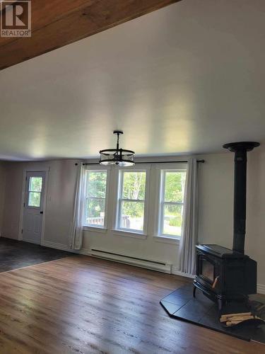 C68 Crooked Lake Road, Badger, NL - Indoor With Fireplace