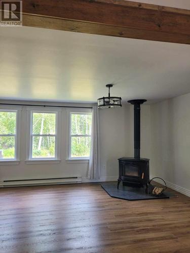 C68 Crooked Lake Road, Badger, NL - Indoor With Fireplace