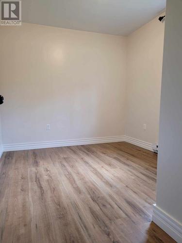 C68 Crooked Lake Road, Badger, NL - Indoor Photo Showing Other Room