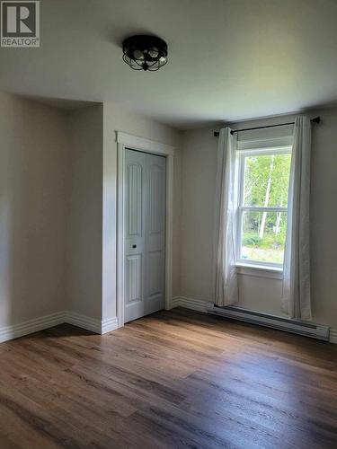 C68 Crooked Lake Road, Badger, NL - Indoor Photo Showing Other Room