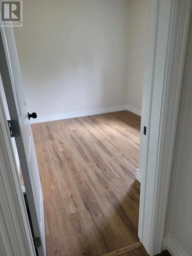 C68 Crooked Lake Road, Badger, NL - Indoor Photo Showing Other Room