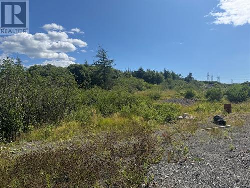 20 Main Road, Sunnyside, NL 