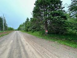 Rear Big Beach Road Road  Christmas Island, NS B1T 1L7