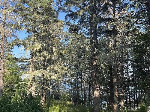 3 Chester Shore Road, Chester, NS 