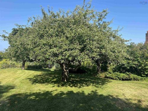 3 Chester Shore Road, Chester, NS 