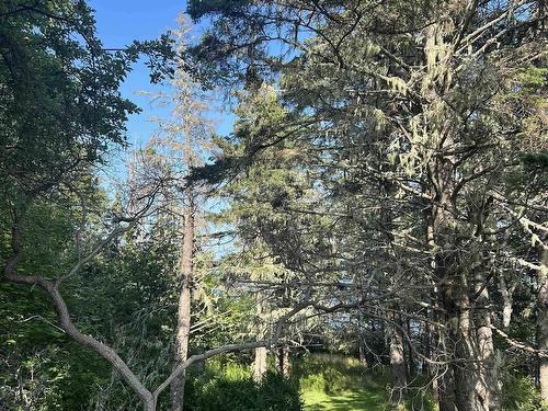 3 Chester Shore Road, Chester, NS 