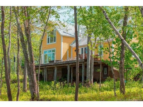 45 Armstrong Wharf Rd, Codys, NB 