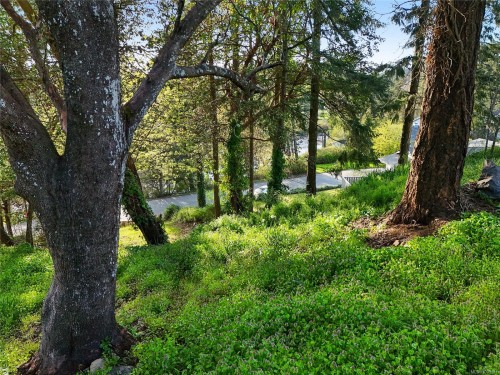 299 Gull Rd, View Royal, BC 