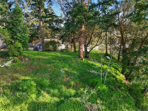 299 Gull Rd, View Royal, BC 